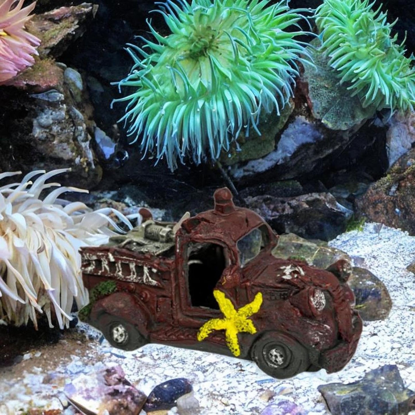 Vintage Wreckage Sanctuary