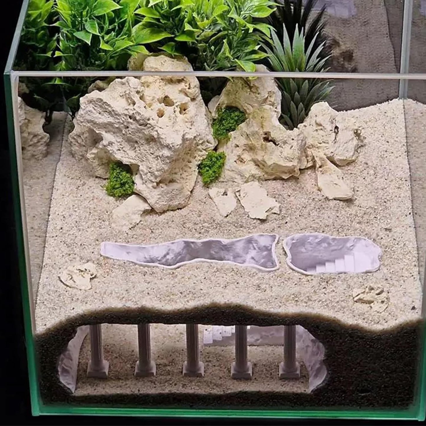 AeroAquarium™ | Der modulare Bau: Lebensraumsystem mit mehreren Wegen 