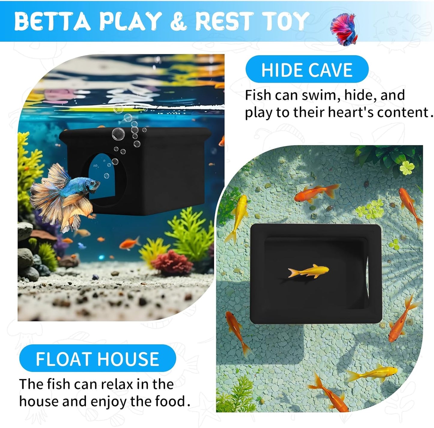 3-in-1 Betta Floating Sanctuary
