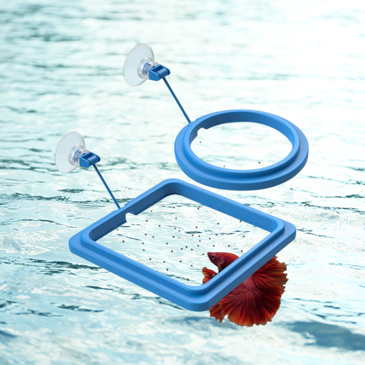 AeroAquarium™ | Floating Feeding Station