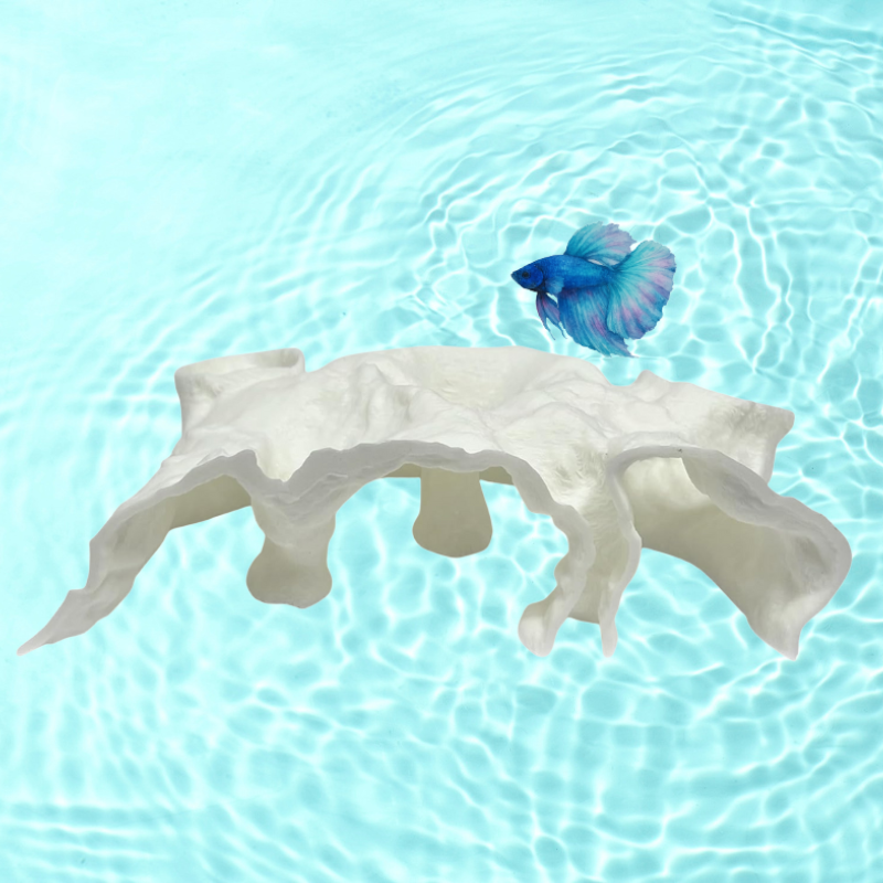 AeroAquarium™ | Der modulare Bau: Lebensraumsystem mit mehreren Wegen 