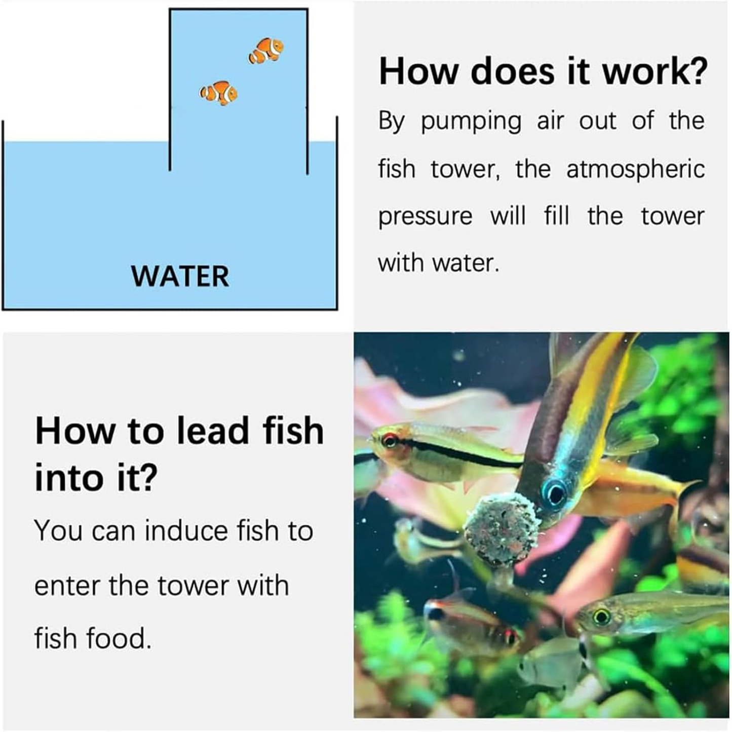 AeroAquarium™ | Der AeroTower: Der originale Anti-Schwerkraft-Fischturm 