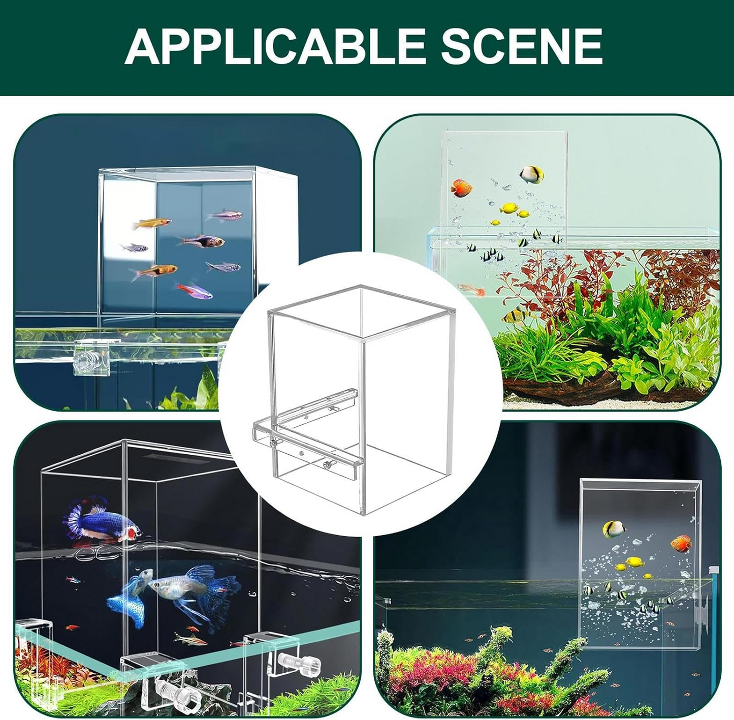 AeroAquarium™ | Der AeroTower: Der originale Anti-Schwerkraft-Fischturm 