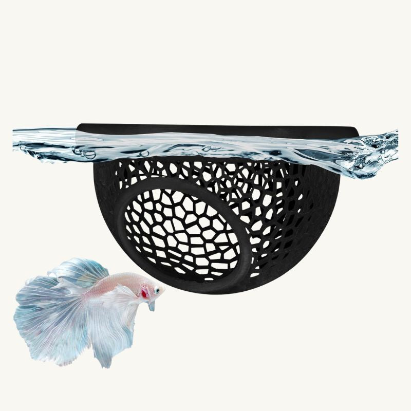The Zen Box | Essential AeroAquarium™ Starter Kit
