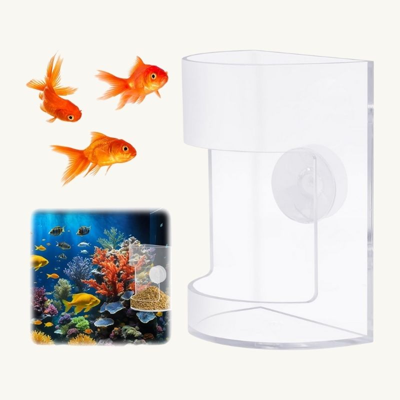 The Master Sanctuary | Pro Maintenance & Lighting Bundle