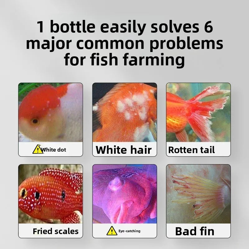 AeroAquarium™ | Methylene Blue Solution