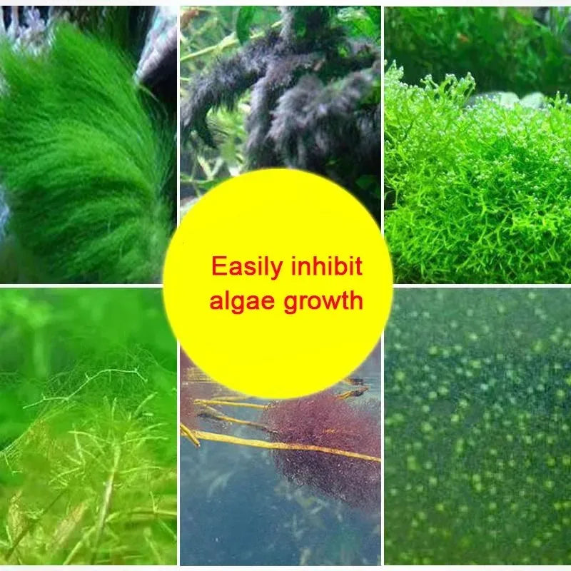 AeroAquarium™ | Methylene Blue Solution